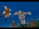 Hamsterdance Ninja Style!