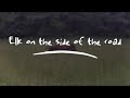 I uploaded a @YouTube video http://t.co/MQ0jJAwE Elk on the side of the road