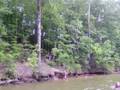 Lake Wedowee tree swing