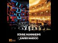 Xavier Naidoo - F�hr mich ans Licht (Unplugged Live)
