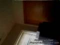 videos de Guri