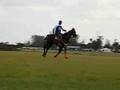 PATRICK OHANNESSIAN - POLO PRACTICE