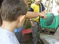 Szüret 2007 Szüret 2007