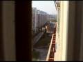 Prisoners in Freedom City (5)