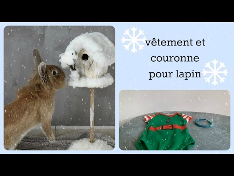 vêtement pour lapin et courrone facile a faire {TUTO N°2}