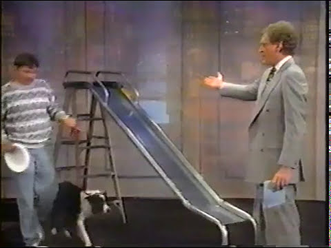 Letterman: Stupid Pet Tricks 1982-1997