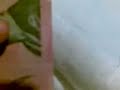 @enchiladaplate Ahh. Much like our whale fellatio on the $5 bill trick - http://www.youtube.com/watch?v=uAx6XRDwgX4