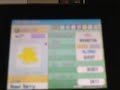 Wi Fi Pokemon Tournement Battles Sign Ups