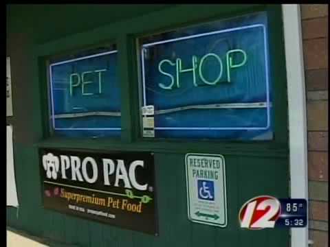 animal cruelty charges north smithfield