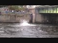 Man Jumps off New York Bridge Man Jumps off New York Bridge