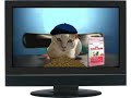 cat comercial parodie cat comercial parodie