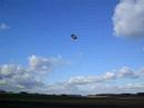 Fliegende Scheibe Homer Simpson mit Verstellpropeller Fliegende Scheibe Homer Simpson mit Verstellpropeller
