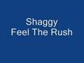 Shaggy-Feel-the-rush