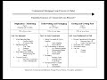 Commercial Mortgage Loan Officer Training