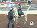 Lexington, KY Mounted Police Procedures