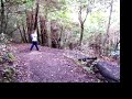 stillman performing switchback