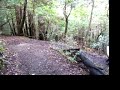stillman performing switchback