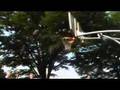 Some mediocre pickup game in Yoyogi Park, Tokyo