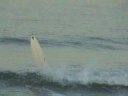 surfing san clemente pier tiny day