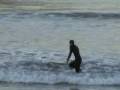 videos de surfing san clemente pier tiny day