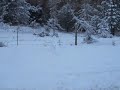 Beautiful Snowman in California