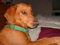 video uploaded by MtnGirl53