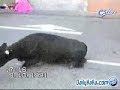 Bloopers 2 Bloopers 2