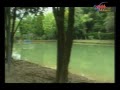 Hutan Bandar