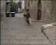 Morella