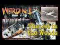 Weird NJ Explores the Jet In The Woods