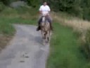 rosco au trot rosco au trot