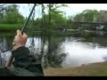 Fighting a fresh baltic salmon in river Morrum