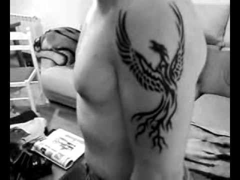 fenix tattoo ave fenix tattoo. fenix tattoo