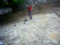 voadora parte 2 (kakinho emow)