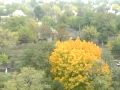цените жизнь (05.10.09) :: цените жизнь (05.10.09)