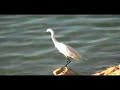Ulsoor Lake