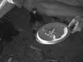 Crawdad Cookout (part2)