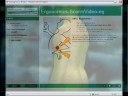 An E-Learning Example