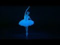 Odette Ballet Swan Lake
