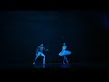 Odette Ballet Swan Lake
