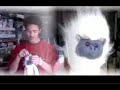 Let Me Love You Parody Let Me Love You Parody