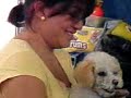 de perro a perro