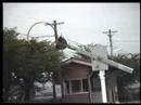 急行「砂丘」高野通過 vol.2