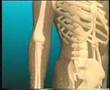 IMPORTANTA CALCIULUI  -  cantemir_forever@yahoo.com