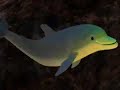 ecco the dolphin st.  Gaberial's mask