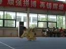 taiji jian in the summer 2006