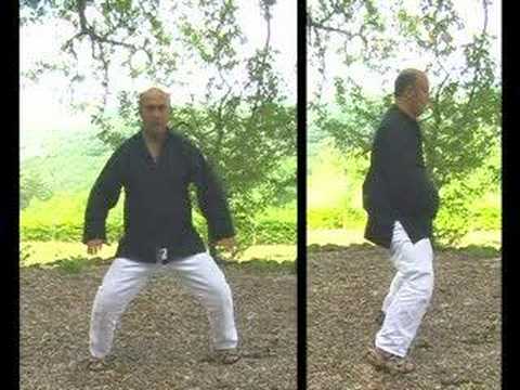 Qi Gong - Die acht Brokatübungen