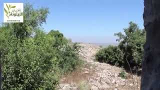 يَاسُوف يَاسُوف