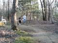 Walk, Trot, Canter, Gallop!