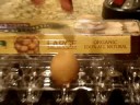Organic Boiled Egg